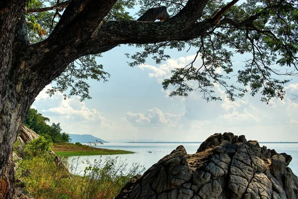Ramo de árvore e rocha no lago: Tailândia — Fotografia de Stock