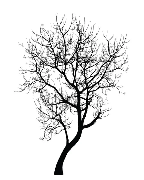 Baum im Winter: Vektor — Stockvektor