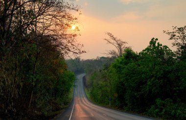 Gün batımında ormandaki yol: Tayland  