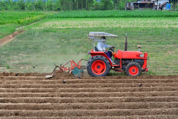 Jordbrukaren traktor plöjer stubb fält med röd traktor — Stockfoto
