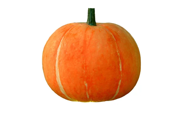 Orange pumpkin isolated. — Stockfoto