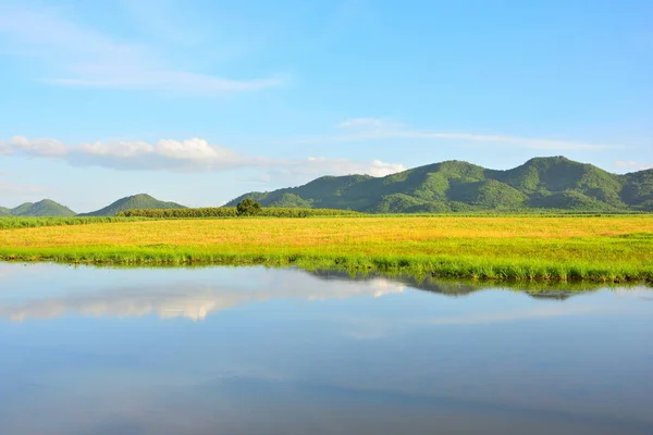 Tropical de paisagem natural . — Fotografia de Stock