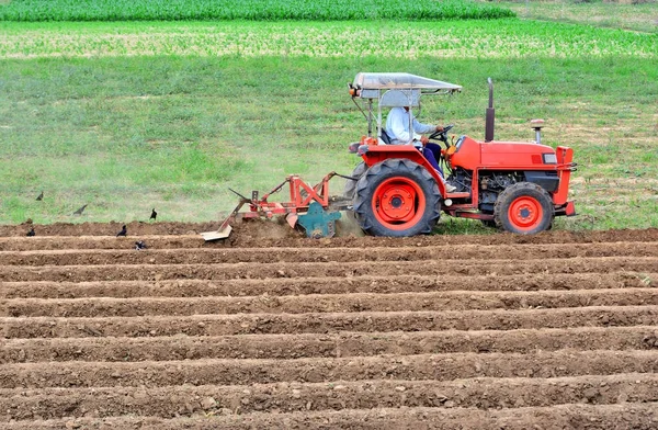 Agricultor em trator lavoura terra com trator vermelho para a agricultura — Fotografia de Stock