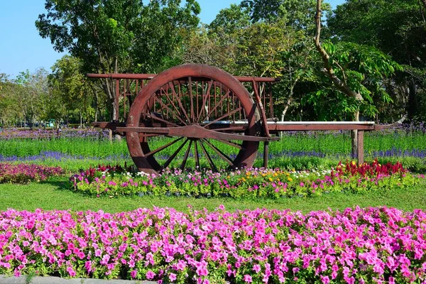 Ancient Thai carts on grass glower tree background in public par