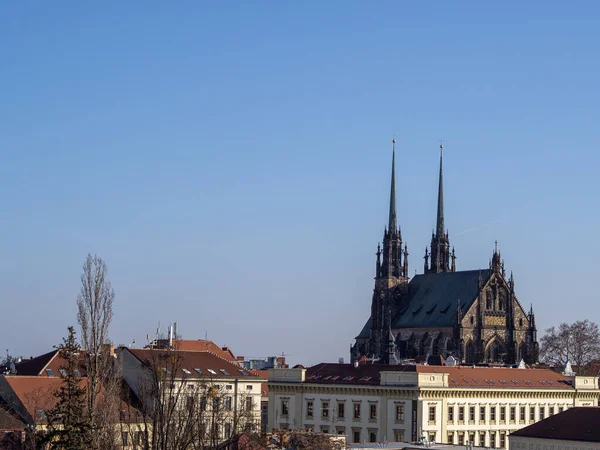 Belle Vue Sur Cathédrale Pierre Paul Brno — Photo