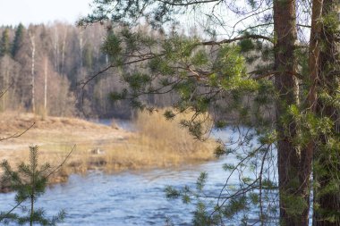 Köpüklü dalgalar ile hızlı Nehri