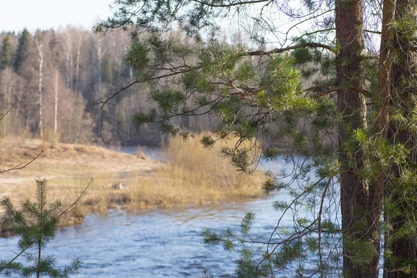 Köpüklü dalgalar ile hızlı Nehri