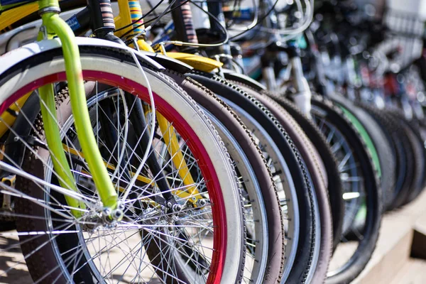 Row of bicycle tires on bicycle rental station. Stock Photo