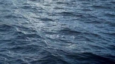 Ağır çekimde rahatsız okyanus su yüzeyinin üzerinde uçmak