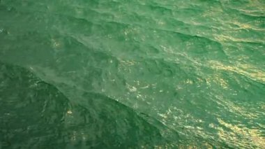 Ağır çekimde, loopable yeşil okyanus yüzeyinin üzerinde uçmak