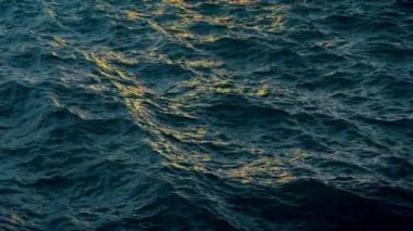 Zaman, loopable akşam mavi okyanus yüzey üzerinde uçmak