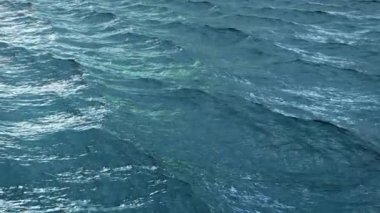 Ağır çekimde rahatsız okyanus su yüzeyinin üzerinde uçmak