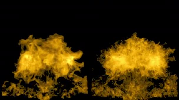 The yellow fire flares up and fades away, with alpha mask — Stock Video