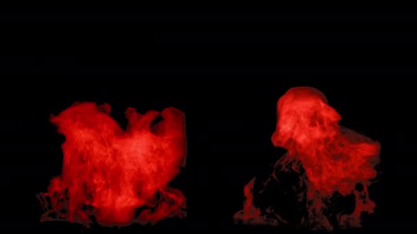 The red fire flares up and fades away, with alpha mask — Stock Video