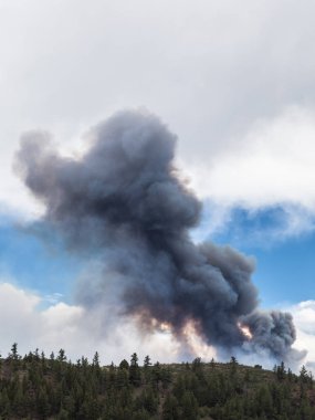 Orman yangını duman tüy