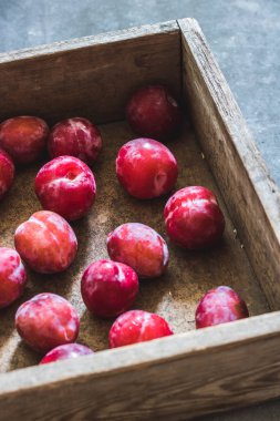 Erik mezarda farklı çeşitleri. Gri beton arka plan, gri Tekstil peçete. Üstten görünüm. Bahçe, tarım, hasat kavramı.