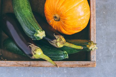 Sonbaharda hasat bir ahşap kutu, kabak, yeşil kabak ve patlıcan gri bir arka planda üstten görünüm