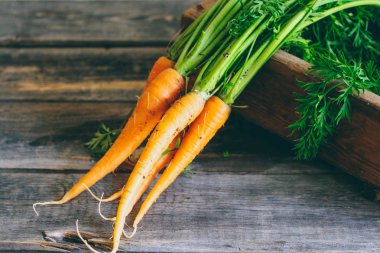 Bir ahşap kutusunda, bir ahşap arka plan, hasat, sonbahar yeşil üstleri ile taze havuç