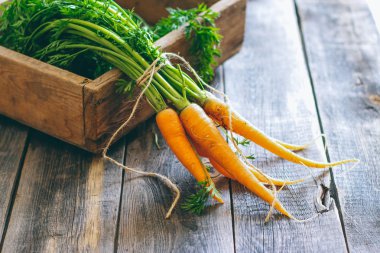 Bir ahşap kutusunda, bir ahşap arka plan, hasat, sonbahar yeşil üstleri ile taze havuç