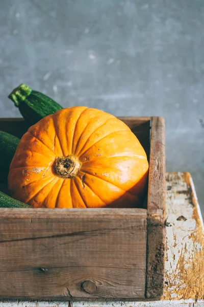 Autumn Harvest Wooden Box Pumpkin Green Zucchini Gray Background — Stock Photo, Image