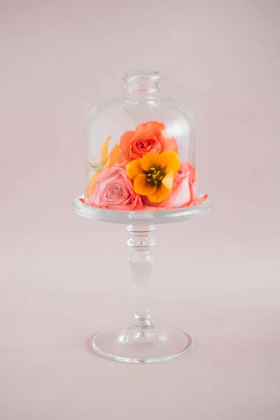 Colorful tropical flowers composition on glass cake stand on pink backgrounds, trends composition