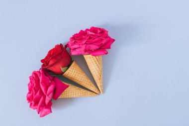 Mavi arka planda pembe şakayıklı ve gülleri olan yassı dondurma külahları.