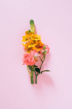 Soyut kompozisyon, turuncu tropik çiçek, pembe güller pembe arkaplanda kopyalama alanı