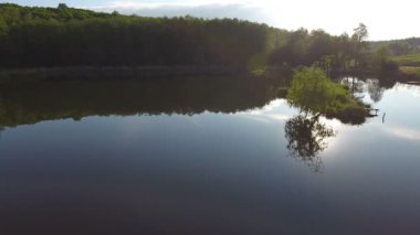 Orman ve göl üzerinde uçan