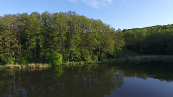 Lac et forêt. Images Aériennes 
