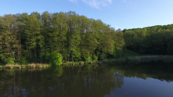 Rybník a les. Letecké záběry — Stock video