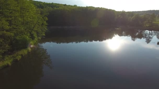 Repülés alatt a tó és az erdő, egy szép reggelen. Drone légi felvételeket — Stock videók