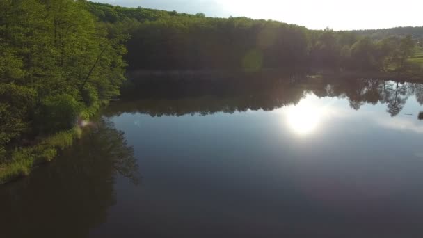 Survol du lac et de la forêt par un beau matin. Drone Vidéo Aérienne 