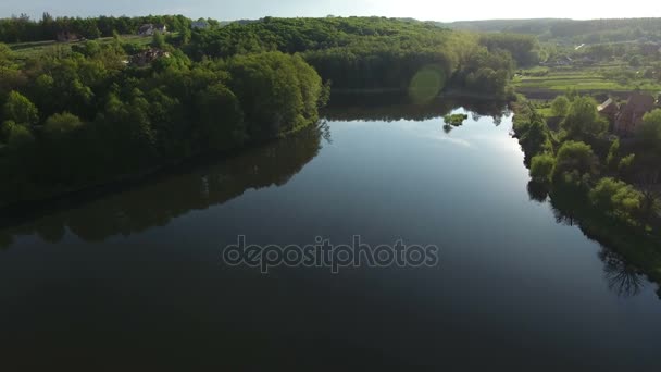 Draufsicht auf Drohne am See mit Wald — Stockvideo