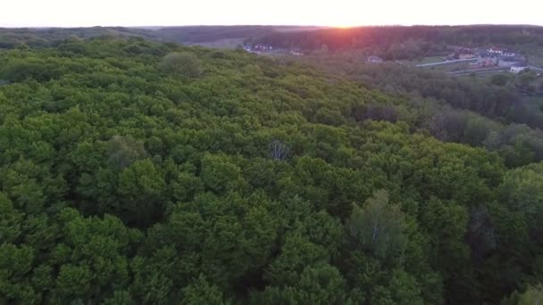 Vlucht in het bos bij zonsondergang. Luchtfoto Drone-beelden — Stockvideo