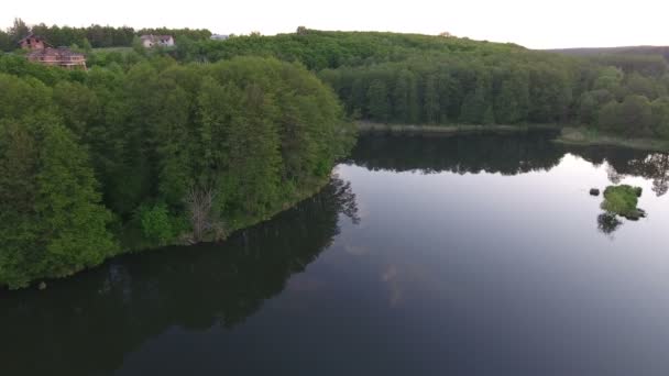 공중 무인 항공기 영상입니다. 호수 근처에 아름 다운 숲. — 비디오