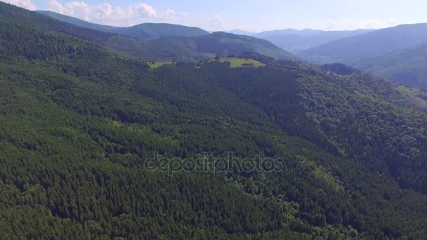 Una montaña de hoja perenne kárpatos en Ucrania — Vídeos de Stock