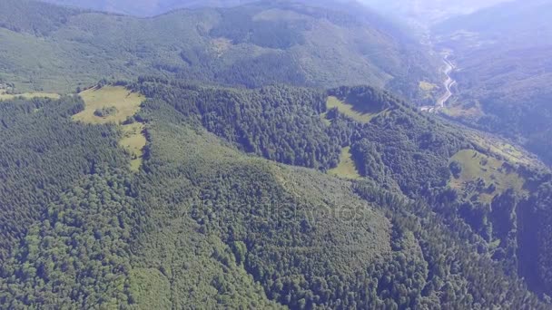 Bela floresta nas montanhas. visão aérea — Vídeo de Stock