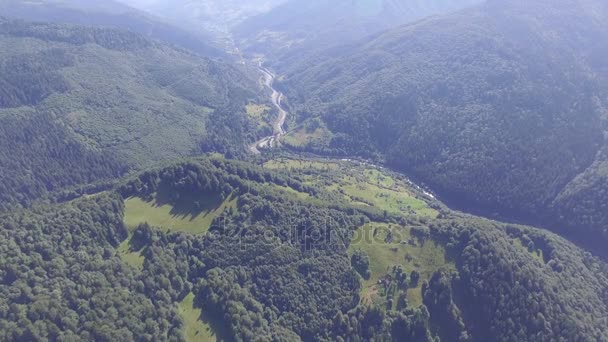 Drone πετάει πάνω από το όμορφο δάσος στα βουνά. μέρα του καλοκαιριού — Αρχείο Βίντεο