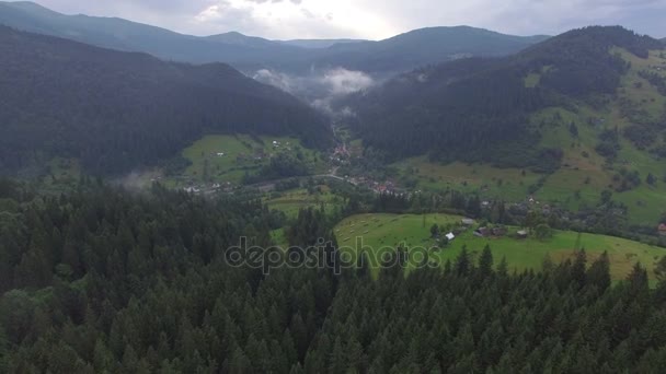 Forest and mountains in the Ukrainian Carpathians. Aerial view — Stock Video