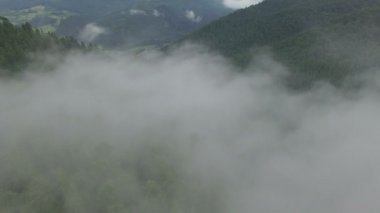 bir dağ orman bulutlarda uçan