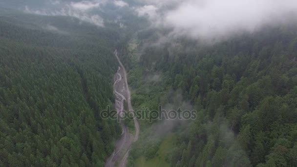 Quadrocopters flying over the road and the river in the misty forest — Stock Video