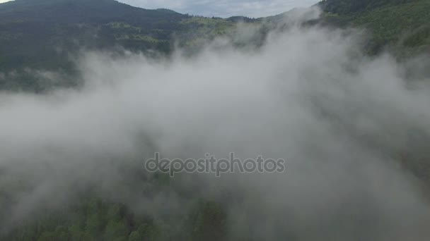 Volando en las nubes en un hermoso bosque de montaña — Vídeo de stock