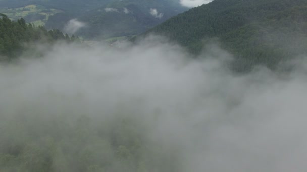 Volando en las nubes en un bosque de montaña — Vídeos de Stock