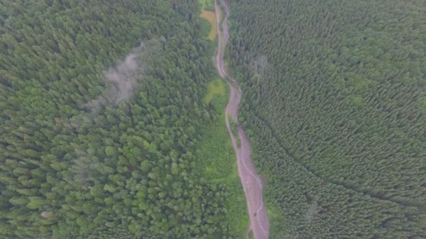 Route à travers une belle forêt. vue aérienne — Video