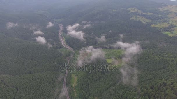 Nubes sobre el bosque. vista aérea — Vídeos de Stock