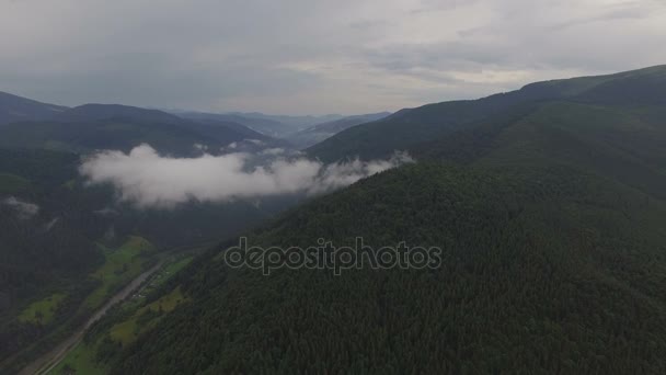 Blick über die Berge und Wälder im Nebel — Stockvideo