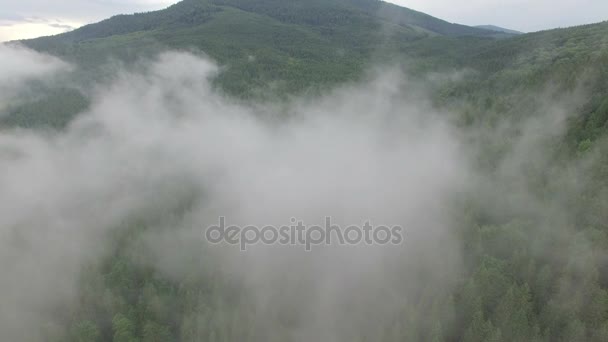 Dron volando en las nubes sobre el bosque — Vídeos de Stock