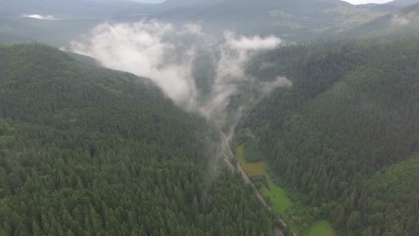 ウクライナの環境の山岳地帯。航空写真ビュー — ストック動画