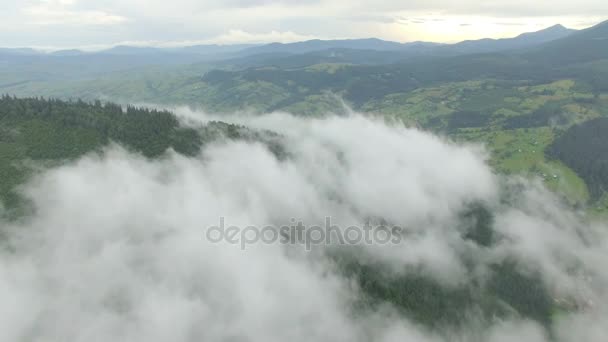 Aerial view above the clouds in the mountains — Stock Video