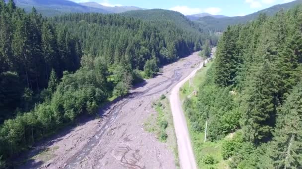 Sobrevolando la carretera cerca de un río de montaña en el bosque — Vídeo de stock